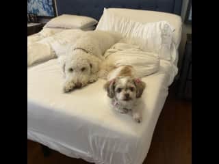 Bedtime!