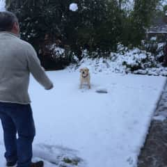 Tom and Sid (first snow experience - Orange NSW)