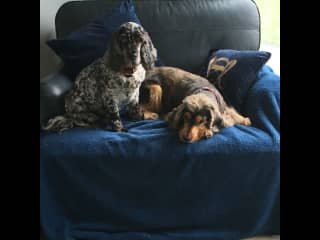 Josh and Oscar