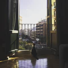 Maraca taking in the view of Madrid