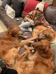A golden party