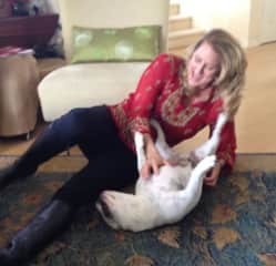 Belly rubs with Franklin the Frenchie