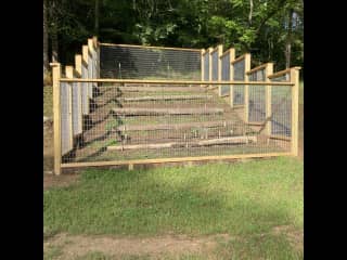 vegetable garden