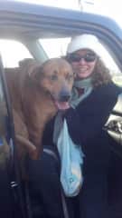 Adoption day