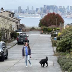 On a house sit, exploring the neighborhood with Rosie.