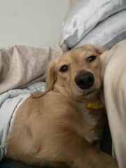 Nappies make me happy