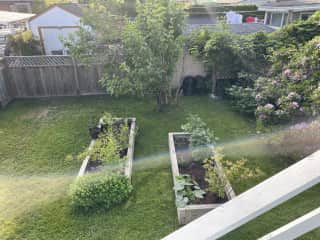 Summer planting in raised beds is pretty much finished. No watering required there.