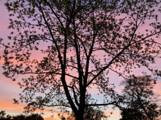 Big sky sunsets