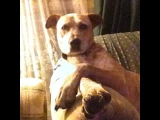 Just chilling