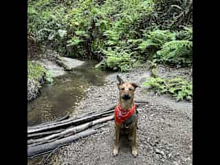 She also loves hikes and drinking from every water source