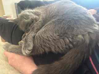 Cuddles with Caspar