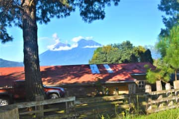 View behind the house