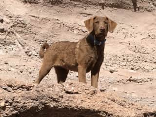 Hazel exploring geology