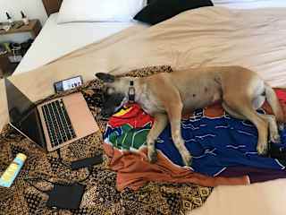just enjoying a nice nap