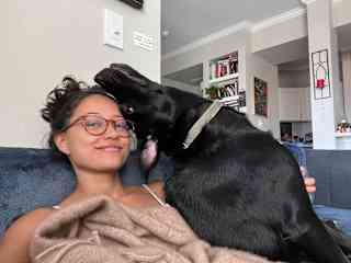 Neo is the silliest black lab.
