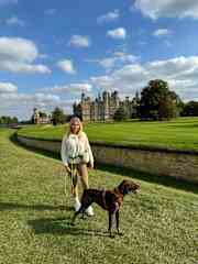 Taking Merlin (one of our TH dogs) to Burghley House