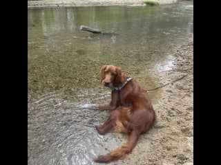 Enjoying the cool stream water after a hike.