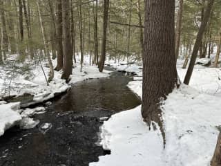 One of several creeks through our woods.