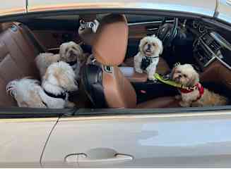 These four love to ride