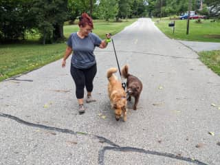 There two were great on leashes
