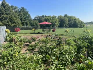 My beautiful garden all organic. 
In fact the entire farm is organic, not a chemical used on it in thirty five years.