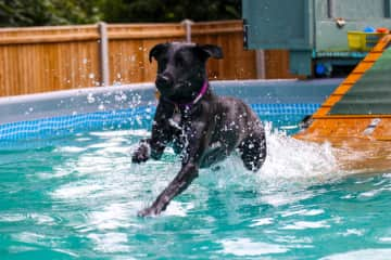 Loves to swim, obsessed with it in fact.