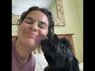 This is Frankie my parents dog.