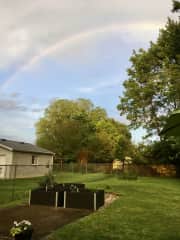 Spacious, peaceful backyard with garden (and very occasional rainbows!)