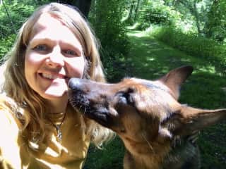 Daily walks with several of the beautiful shepherds is always a highlight