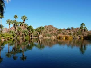 Pond in the park across from community