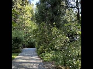 Driveway leading up to house