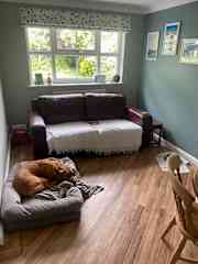 Family room with Rusty!