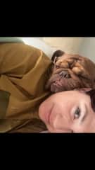 George’s favorite place to sleep.