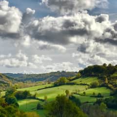 View from in front the house