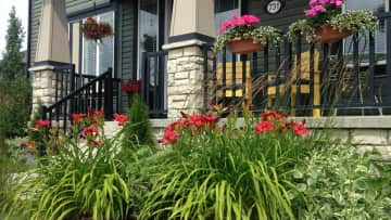 Lots of perennial beds