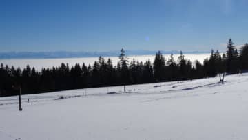 The view on the Alps from Chaumont