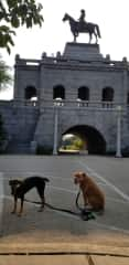 The dogs by a statue on South Pond by the zoo.