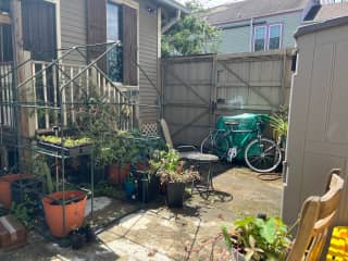 Back yard/garden