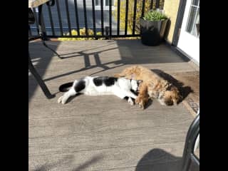 Catching a few winter rays on the deck