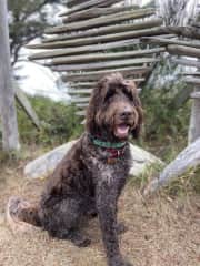 My favorite picture of him. Love doodles!