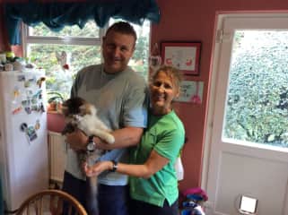 Tommy the cat having cuddles in the UK