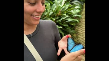 Visited a butterfly sanctuary in Costa Rica. The absolute highlight of this trip!!!