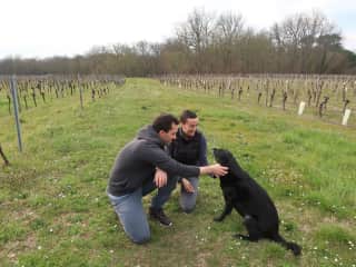Taking care of Margaux in the Dordogne region