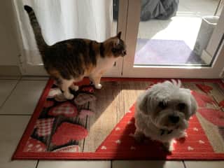 Waiting for treats