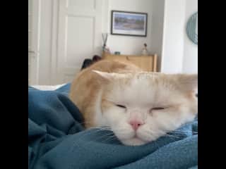 Leon from Lausanne, how he’d wake me up every morning
