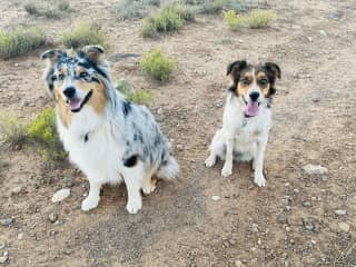 Naga and Bailey out on the trails