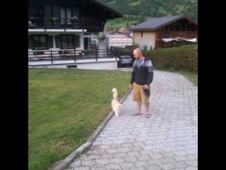 Harry the cat joining for an evening walk.