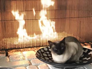 I like warm places