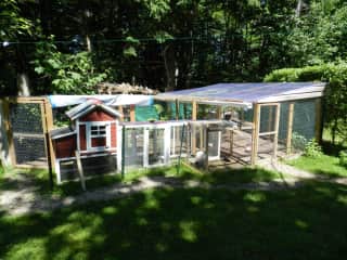 Chicken run and coop