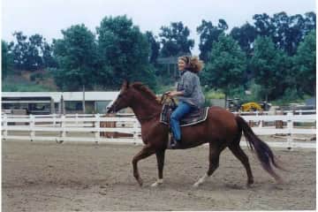 This is Scruffy, my first Quarterhorse.  I would love to care for your horse.